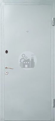 Металлическая дверь в офис с двумя замками (нитроэмаль)-ДВ-933