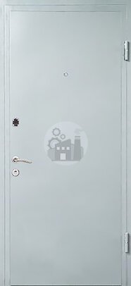 металлическая дверь в офис с двумя замками (нитроэмаль)-ДВ-933